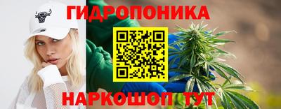 стафф Будённовск